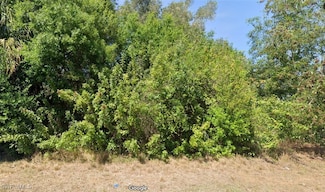 5202 2nd St W, Lehigh Acres, FL 33971