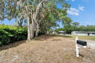 8209 Edison Rd, Lithia, FL 33547