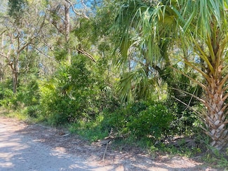 Lot 16 NW 110th Ave, Chiefland, FL 32626