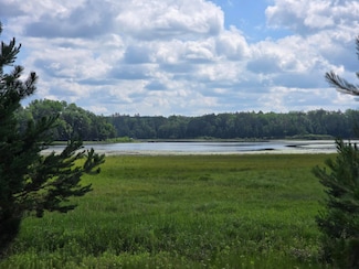 off McCollum Lake Rd, Curran, MI 48728