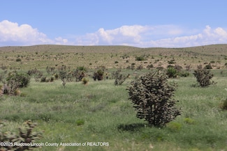 5876 New Mexico 506, Piñon, NM 88344