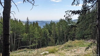 429 Sawmill Ln, Idaho Springs, CO 80452