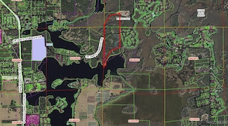 10080 E Gobbler Dr, Floral City, FL 34436