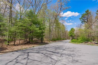 0 T 578 Unit 753346, Swiftwater, PA 18370