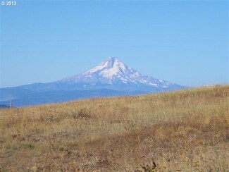 54 Morris Rd Unit 1, Lyle, WA 98635