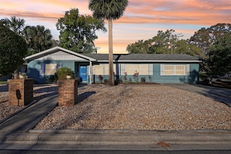 219 N Rossiter St, Mount Dora, FL 32757