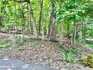 16 Killearn Ct, Crossville, TN 38558