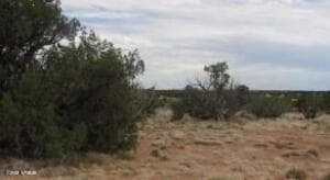 Sec 19 Sec 19 T15n R16e, Heber, AZ 85928