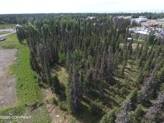 L69 Lee Ave, Salamatof, AK 99611