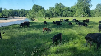 000 B71 Hwy, Pineville, MO 64856