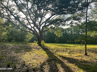1750 Turkey Oak Trail, Bonifay, FL 32425