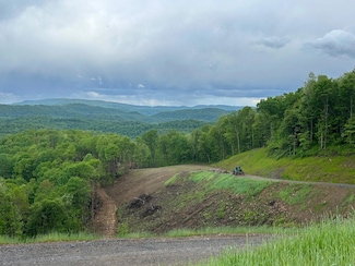 0 Irish Mt Rd Unit 24-655, Springdale, WV 25986