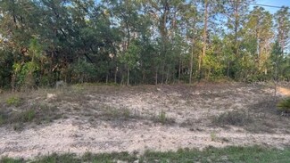 6167 W Rio Grande Dr, Beverly Hills, FL 34465