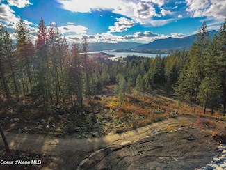 320 & NNA Towering Pines, Sagle, ID 83860