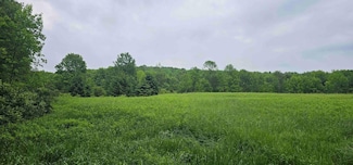 0 Gospel Hill Rd, Guilford, NY 13780