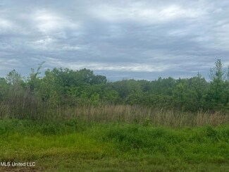 0 Baldwin Rd, Lake Cormorant, MS 38641