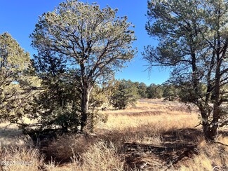 7223/7277 Daisy Dr, Red Lake, AZ 86046