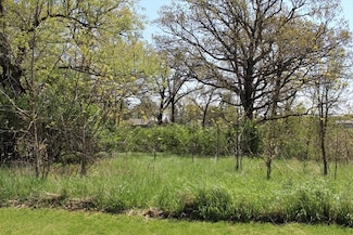 Lot 21 Masters Dr, Union Grove Township, IL 61270