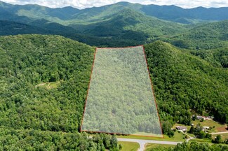 30.91 Ac Hwy 64 E @ Old Hwy 64 Jct, Hayesville, NC 28904