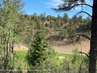 L17D Gene Sarrasin Ct, Alto, NM 88312