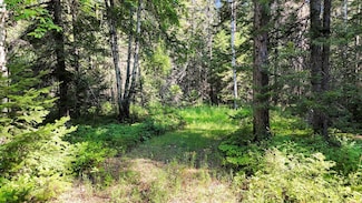 238 Rustic Rd, Cusick, WA 99119