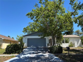 1129 Forbes Trace, Tarpon Springs, FL 34689