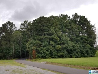 0 Tammie Dr Unit 5 828500, Lake View, AL 35111