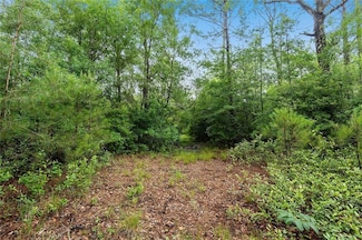 0 E Moran Rd, Pearl River, LA 70452