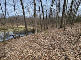 0000 Duana Dr, Milford, MI 48380