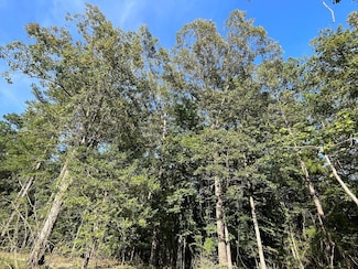 Eucutta Sandersville Rd, Waynesboro, MS 39367