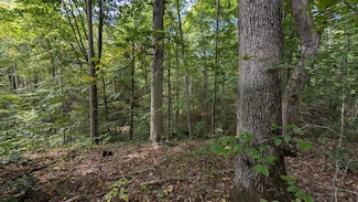 0 Bethel Rd, New Plymouth, OH 45654