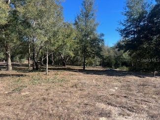 708 S Savary Ave, Inverness, FL 34453