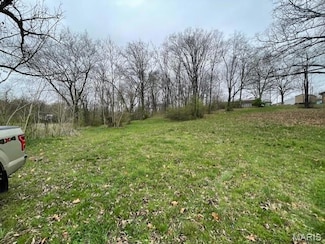 1220 W Davis St, Poplar Bluff, MO 63901