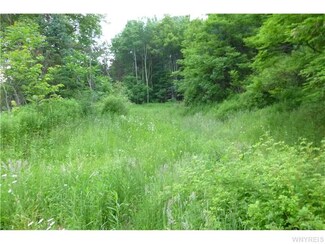 0 Porter Hollow Unit B502443, Great Valley, NY 14741