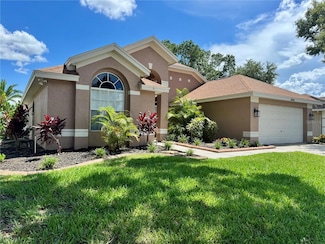 28826 Windover St, Wesley Chapel, FL 33545