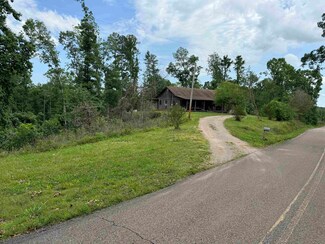 10745 Pine Top Rd, Hornsby, TN 38044