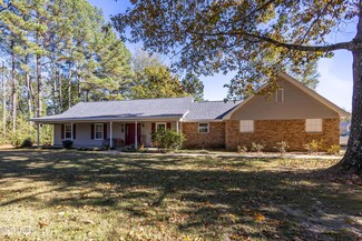 116 Pop Runnels Rd, Petal, MS 39465