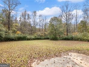 2773 River Rd, Ellenwood, GA 30294