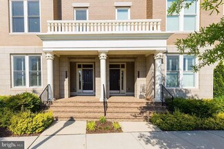 2308 Potomac Ave Unit 101, Alexandria, VA 22301