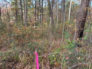 0003 Loggers Trail, Many, LA 71449
