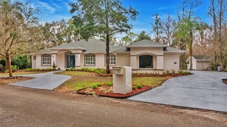 2397 River Tree Cir, Sanford, FL 32771