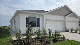 31471 Paper Birch St, Wesley Chapel, FL 33545