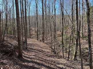 County Rd 325, Hamilton, AL 35570