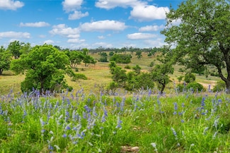0 Badger Ridge Rd Unit 23449133, Fredericksburg, TX 78624