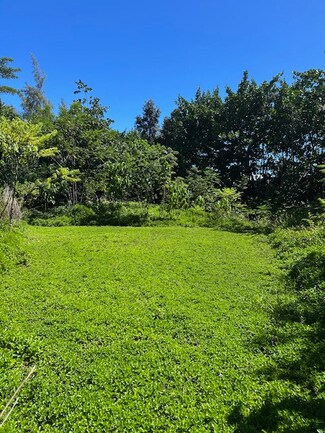 0 Kiawe Rd, Hawaiian Paradise Park, HI 96749