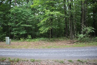 0 Sarah Ln Unit VASH2008802, Basye, VA 22810