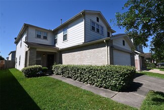 2722 Skyview Downs Dr, Houston, TX 77047