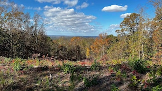 121 Darrell Dr, Tuscumbia, AL 35674