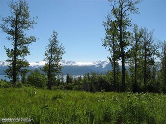 L3A Maria Rd, Fritz Creek, AK 99603
