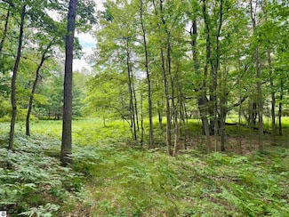 Parcel M Rosted Rd, Lake City, MI 49651